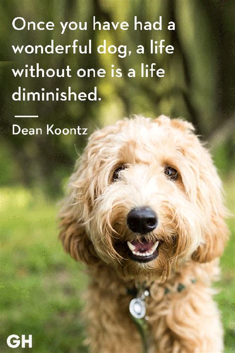 50 Dog Quotes That Every Animal Lover Will Relate To Best Dog Quotes