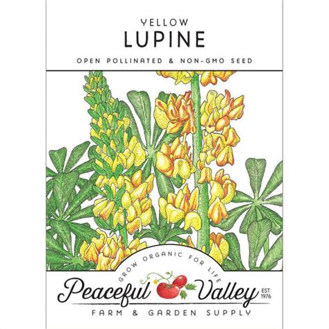 Non Gmo Lupine Flower Seeds From 399 Grow Organic