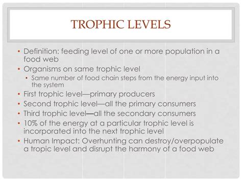 Ppt Trophic Levels Powerpoint Presentation Free Download Id2423373