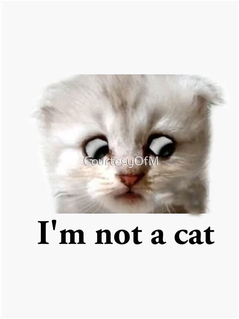 Zoom Cat Lawyer Im Not A Cat Sticker For Sale By Courtesyofm