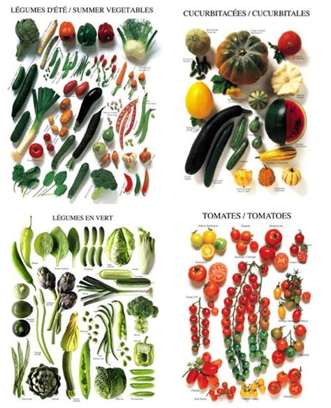 Vegetable Charts — Vegetable Picture Posters — Eatwell101