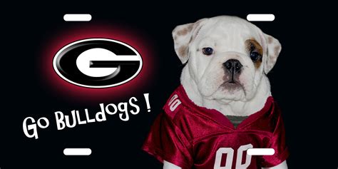 Georgia Bulldogs Wallpaper And Screensavers 52 Images