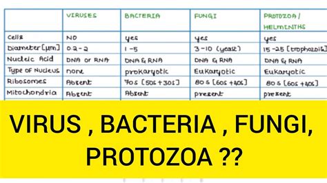 Bacterial Vs Viral Infections The Differences Explained Webmd Davian Has Nash
