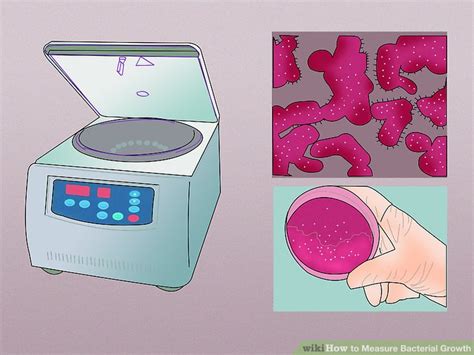 3 Ways To Measure Bacterial Growth Wikihow