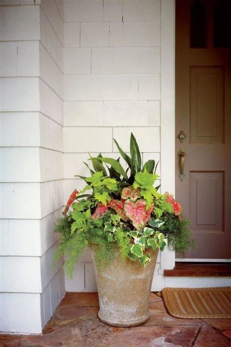 20 Front Door Flower Pot Ideas