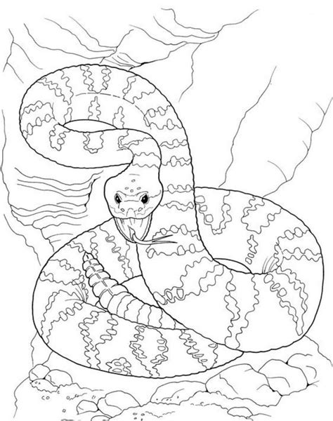 Black mamba snake coloring pages for adults have been scientifically proven to help in solving many stressful situations, which is why the trend of adult coloring books is on the rise. Snake Printable Coloring Pages - Coloring Home