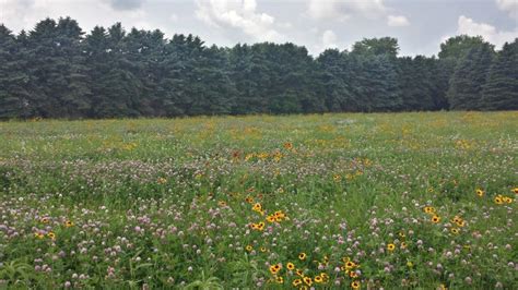 Learn How To Create Your Own Pollinator Habitat River Keepers