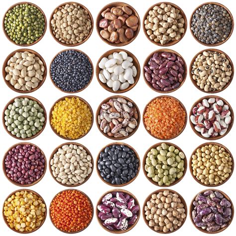 Types Of Dried Beans