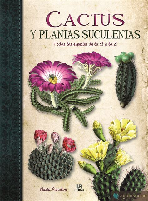 Cada vez, se habla más de ella como una auténtica. Libro Cactus Y Suculentas PDF ePub - LibrosPub