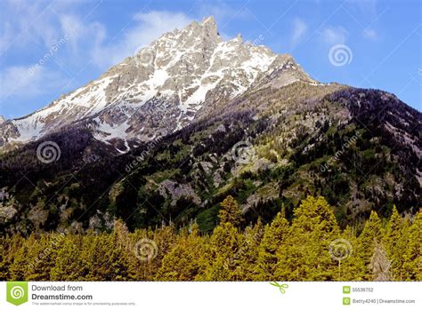 Snow Capped Mountains And Green Trees In Glacier National Park Stock