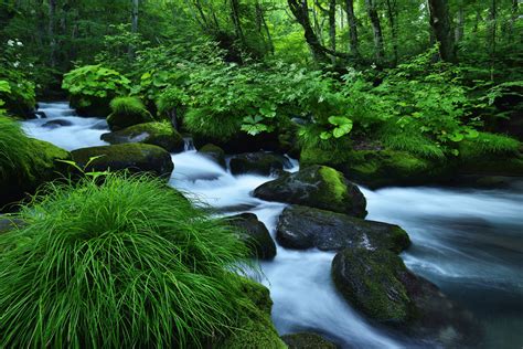 Stream Hd Wallpaper Background Image 2048x1367