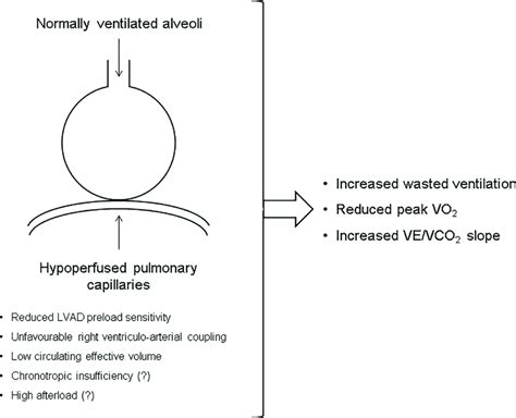 Schematic Summarizing Ventilationperfusion Pathophysiology In Left