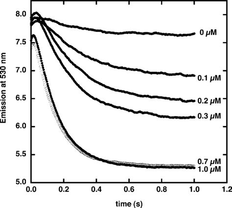 Cu 21 Quenching Of Phen Green Sk Fluorescence In Thylakoid Membranes