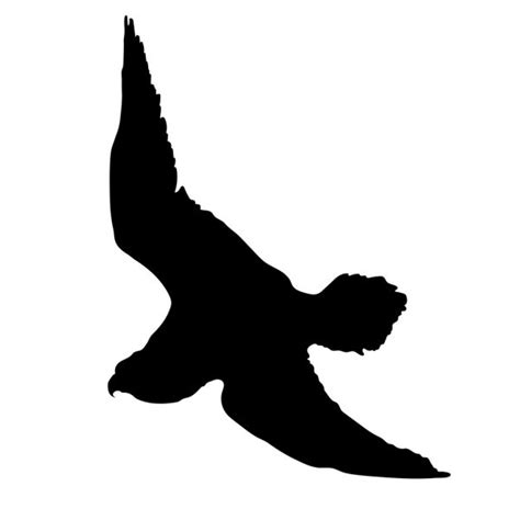 Falcon Silhouette Peregrine Falcon Silhouette — Stock Vector