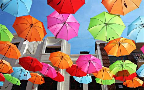 Colorful Umbrellas Wallpaper And Background Image 1600x1000