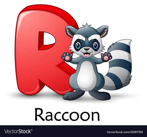 Letter R Is For Raccoon Cartoon Alphabet Vector Image
