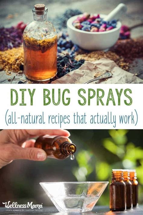 Homemade Bug Spray Recipes That Work Homemade Bug Spray Bug Spray