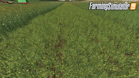 Grass Texture Mod V10 By Mpffh For Fs19
