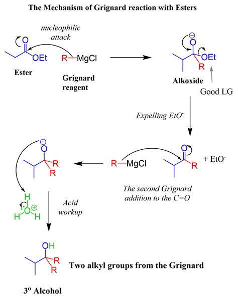 The lactones 14 and 17 on being grignard reagent is one of the most popular materials in chemical and pharmaceutical reaction processes, and requires high quality with minimal adulteration. The Mechanism of Grignard reaction with Esters | Organic ...