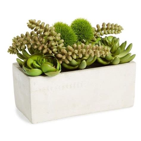 480 x 471 jpeg 272 кб. Sage & Co. Faux Succulent Garden in Cement Pot found on ...