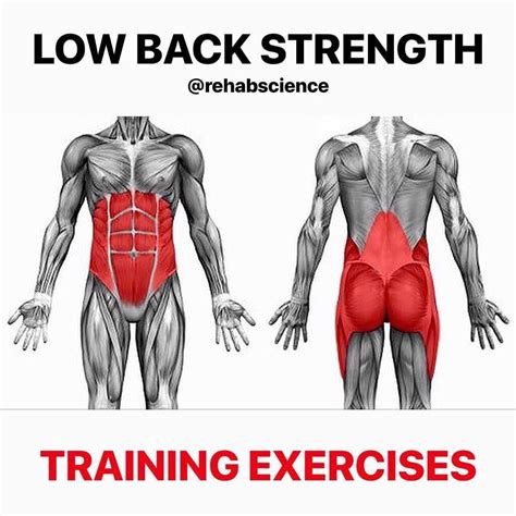 An uneven rib cage means the two sides of the rib cage are not symmetrical. 𝐋𝐨𝐰 𝐁𝐚𝐜𝐤 𝐒𝐭𝐫𝐞𝐧𝐠𝐭𝐡💥 ——— 👉Demonstrated here are three ...
