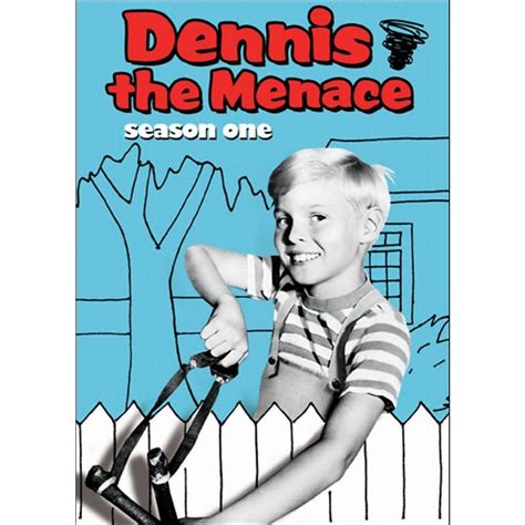 Dennis The Menace Season One 5 Discs The Donna Reed Show Buddy