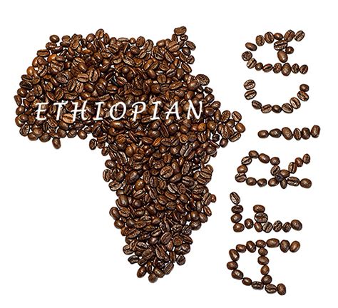 Ethiopian Coffee Neighbors Coffee
