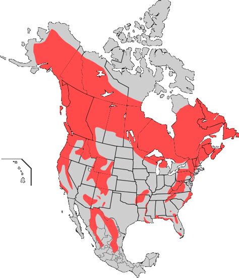 Abes Animals Range Maps Of The American And Asian Black Bear
