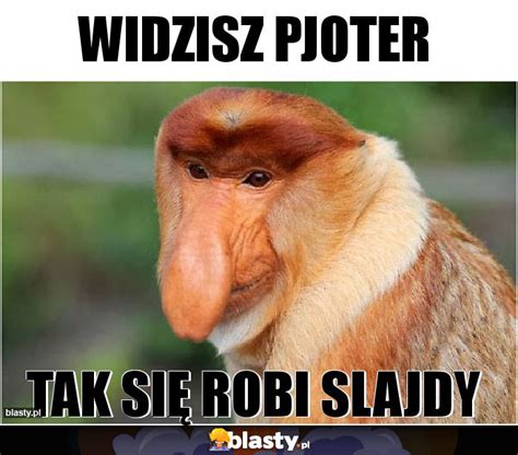 Widzisz Pjoter memy gify i śmieszne obrazki facebook tapety