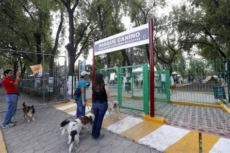 Los Mejores Parques Para Perros En Cdmx Y Zona Metropolitana