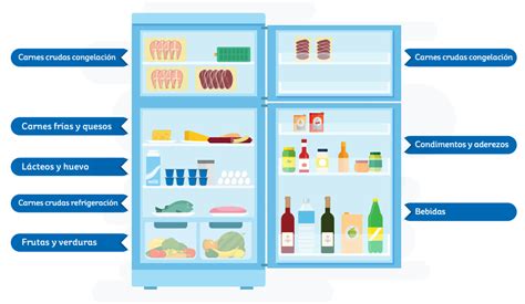 la mejor guía para almacenar y ordenar alimentos en el refrigerador