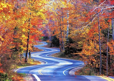Great Wisconsin Drives For Fall Leaves Chicago Tribune