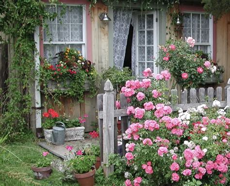 How To Create A Cottage Garden In Three Easy Steps Anthony Tesselaar