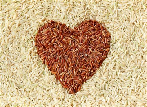 Whole Grain Brown Rice Stock Photo Image Of Metaphors 7839434