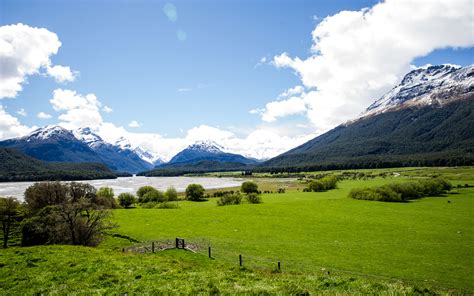 New Zealand Landscapes Pasture With Green Grass Thick
