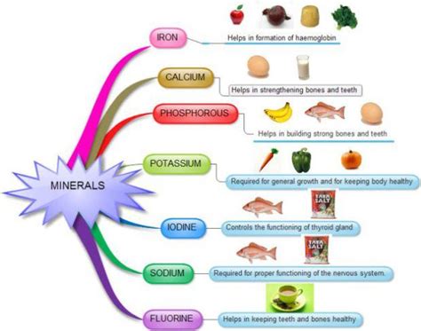 Nutrients Mapa Mental Amostra Images