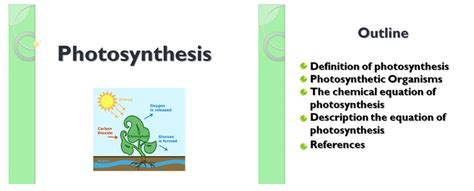 Does not older change the meaning? What Is The Equation For Photosynthesis And Does It Mean ...