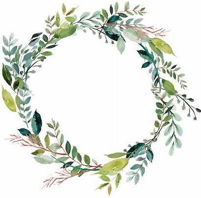 Wreath Leaves Flower Floral Ring Watercolor Frame