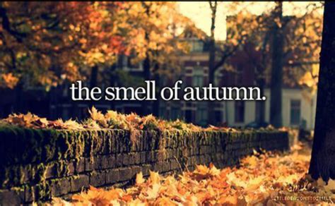 10 Welcome Fall Quotes