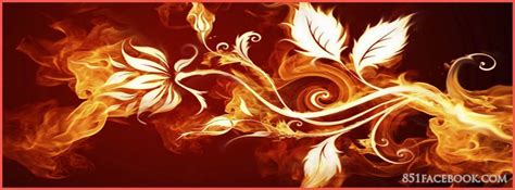 Abstract Fire Rose Flower Facebook Timeline Cover 851×315 Fall