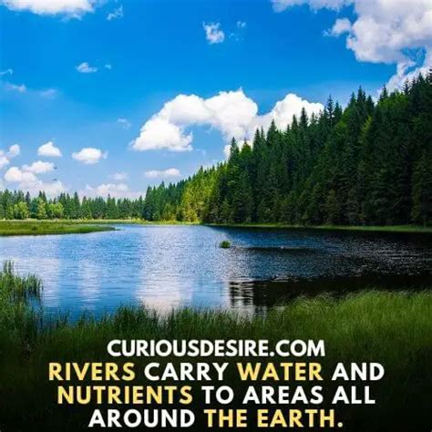 15 Reasons Why Rivers Are Important Curious Desire