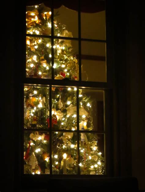 20 Christmas Tree In Front Of Window Pimphomee