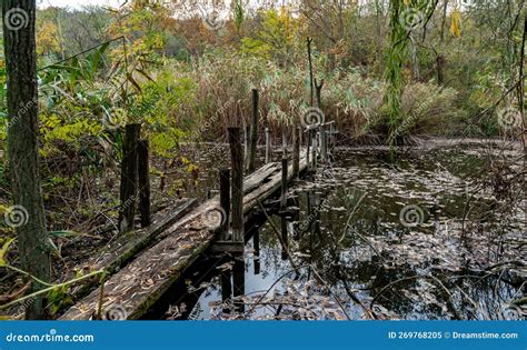 Old Broken Rotten Wooden Bridge On An Overgrown Pond Surrounded By