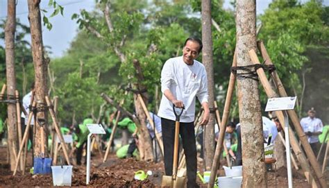 Tanam Pohon Serentak Presiden Jokowi Tegaskan Langkah Nyata Atasi