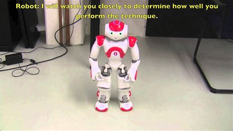 Nao Robot Karate A Nao Robot Teaching A Human How To Perform Karate