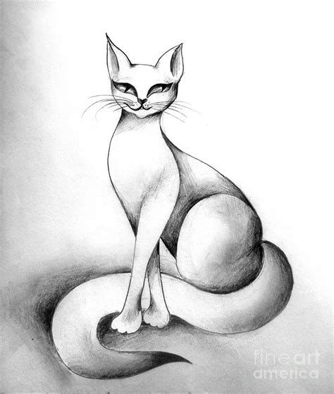 Tanya The Cat Shorthaired Kitty Drawing By Sofia Goldberg Pixels