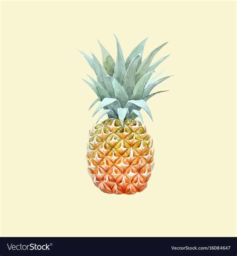 Download Watercolor pineapple fruit Royalty Free Vector Image