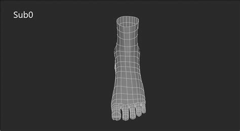 3d Model Female Foot Vr Ar Low Poly Cgtrader