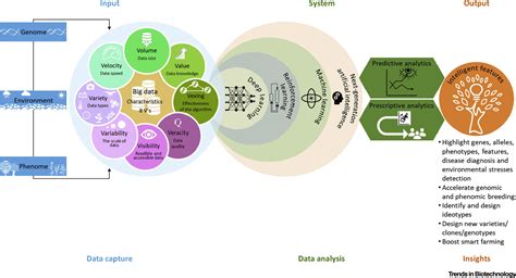 Accelerating Climate Resilient Plant Breeding By Applying Next