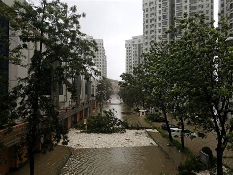 Massive Clean Up In Hong Kong After Typhoon Mangkhut Brings Trail Of